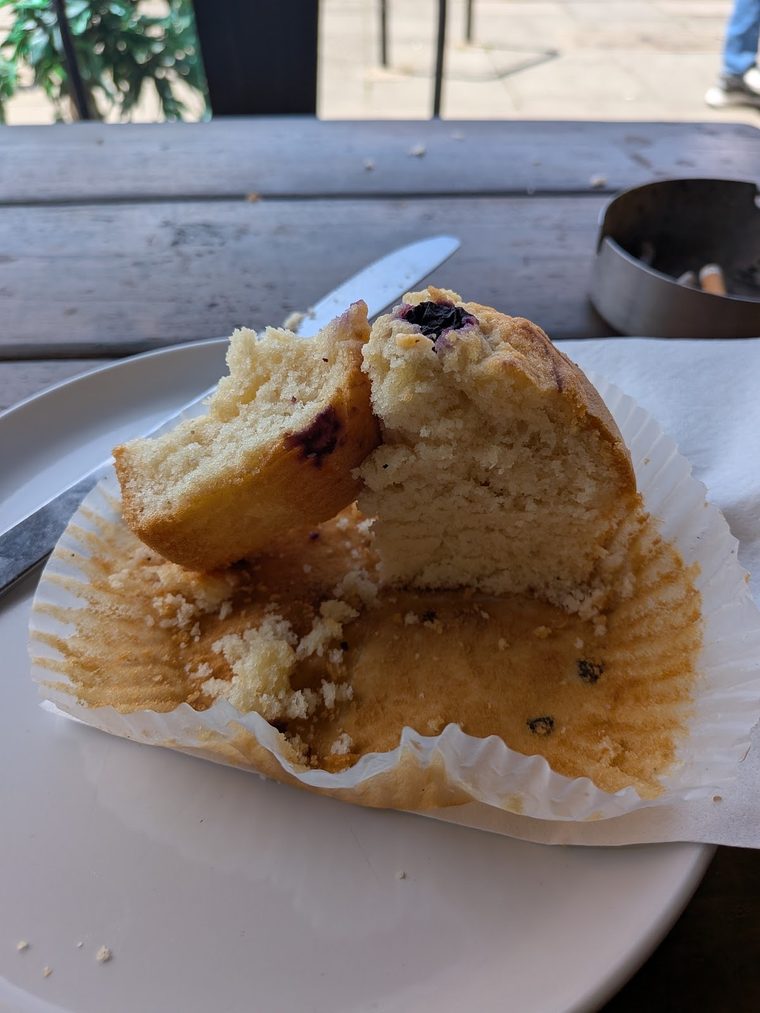 A blueberry muffin broken open on a white plate